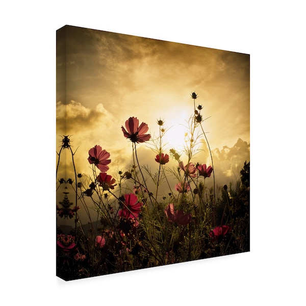 Christian Marcel 'Watching The Sun' Canvas Art,14x14